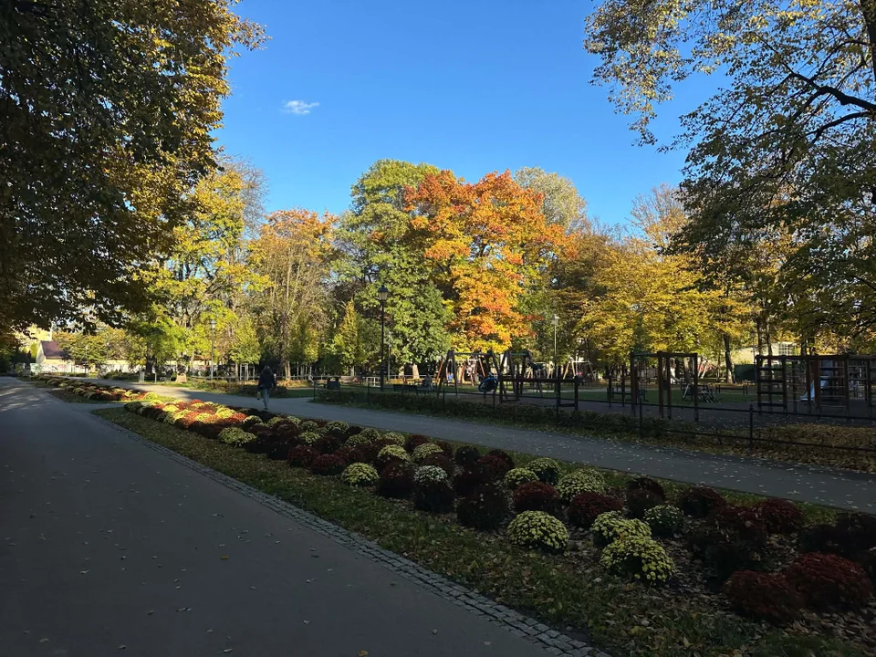 Park Solidarności w jesiennej odsłonie