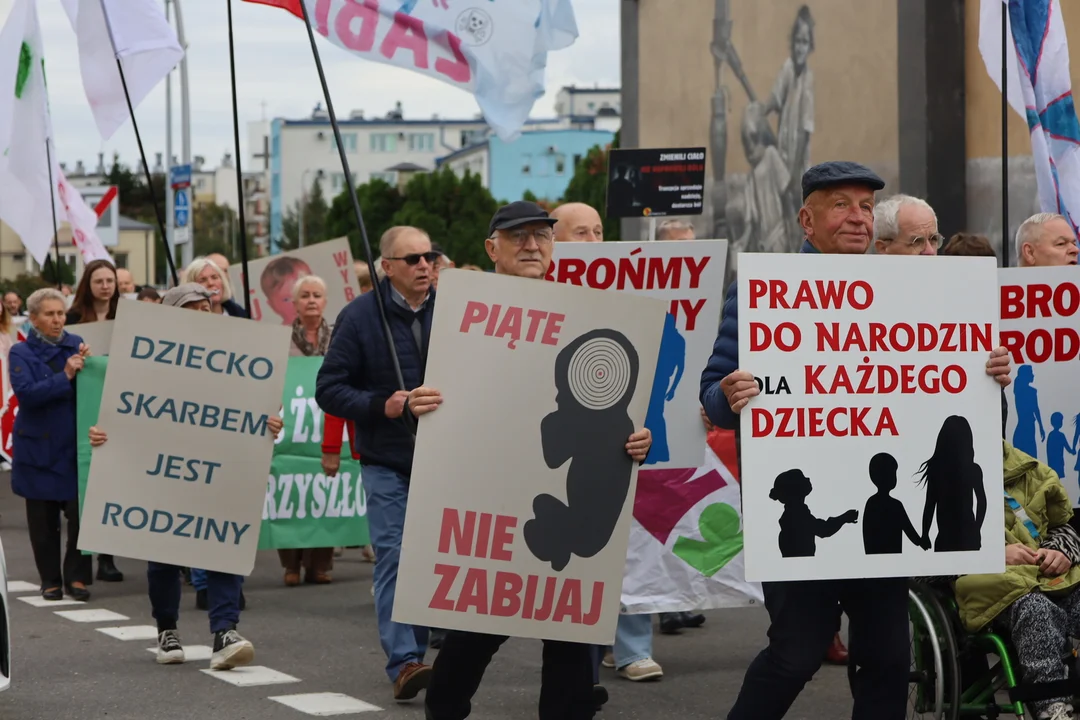 Uczestnicy